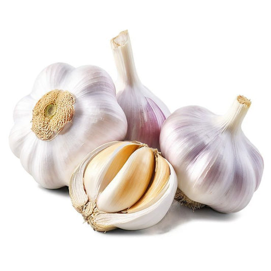 GARLIC