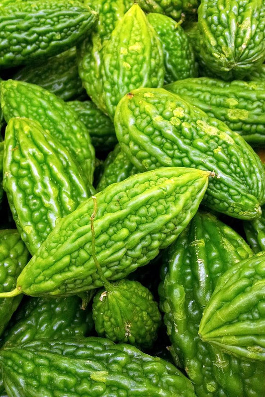 Bitter Gourd