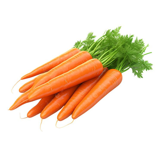 CARROT