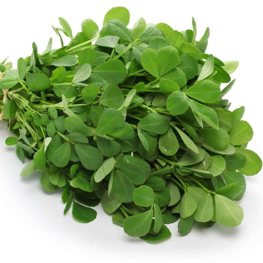 Fenugreek