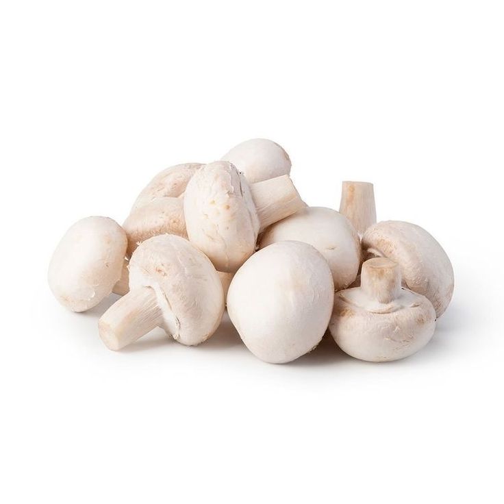 Mushroom